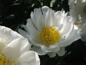 Aufnahme: H.-J.H.